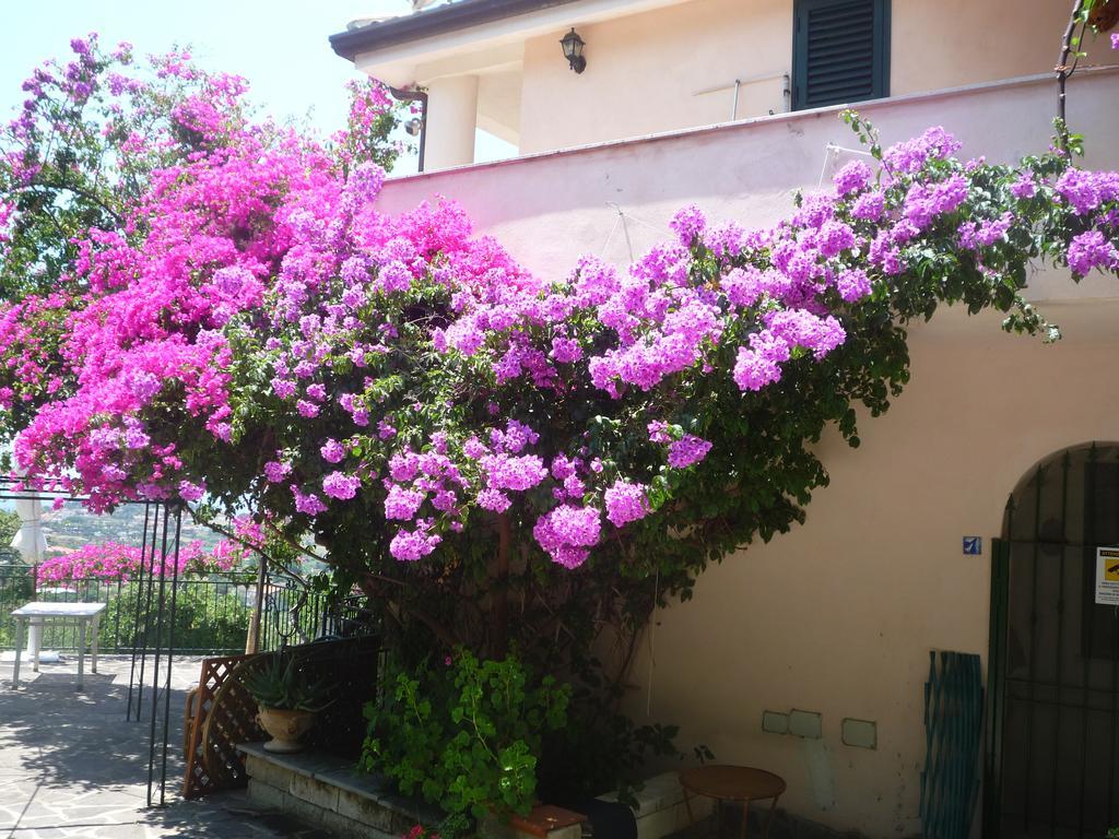 קאפו ואטיצ'אנו Villa Panthea מראה חיצוני תמונה